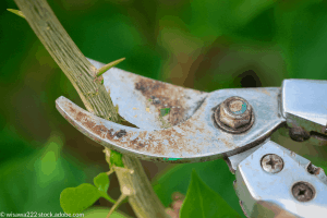 How to Clean Garden Tools