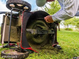 How to Overhaul a Petrol Lawnmower