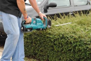 How to Clean Hedge Trimmers Properly and Safely