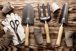 How to Clean Garden Tools